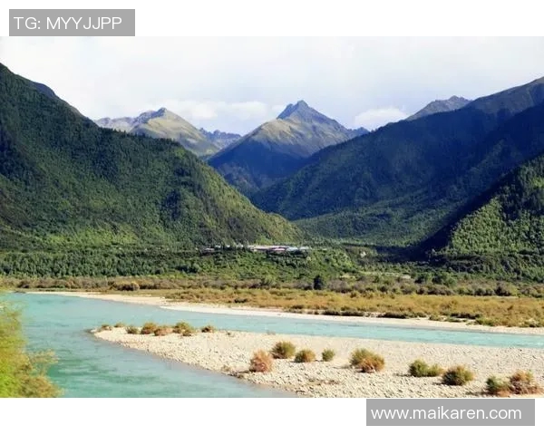 桑日马鹿杯足球比赛精彩直播全程回顾与精彩瞬间分享
