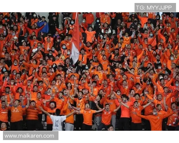 新西兰男篮迎战中国队两队实力对决引发球迷热议