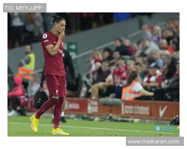 努涅斯在赛场上的崛起与挑战解析以及未来发展前景展望