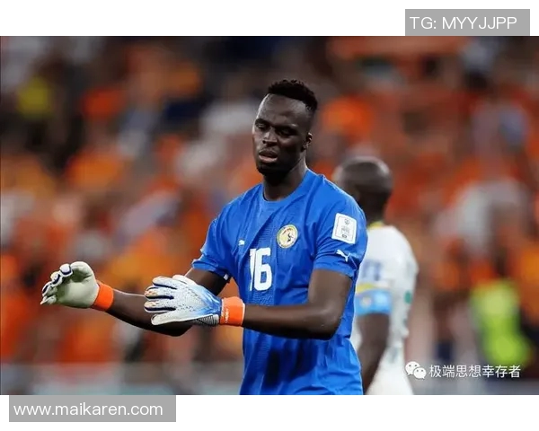 卢卡库在国际赛场的表现分析与未来发展趋势探讨