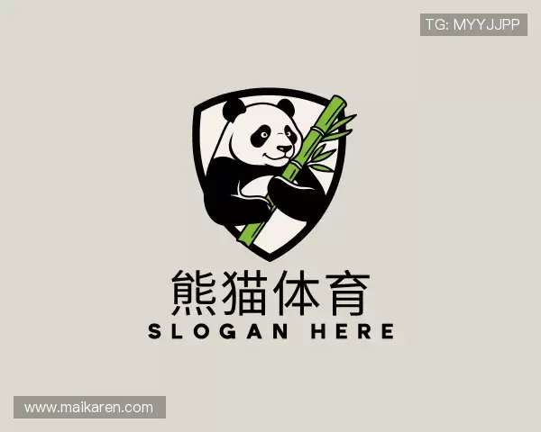 发现熊猫体育官方网址